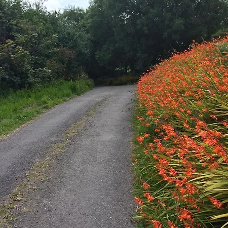 Apartman Cozy Goleen